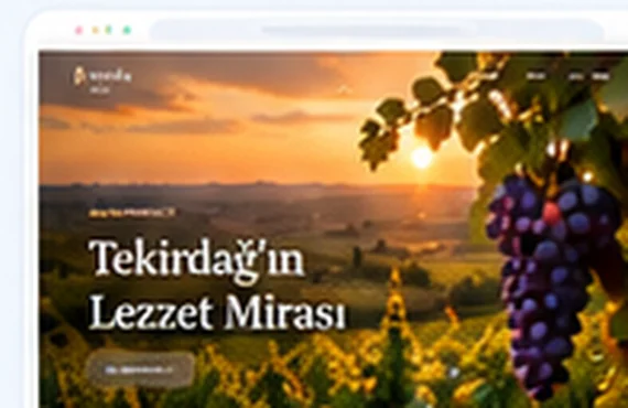 Bağcılık & Şarap sektörü web tasarımı görsel konsepti